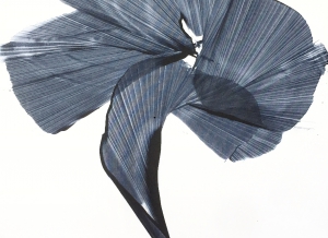 Grey-