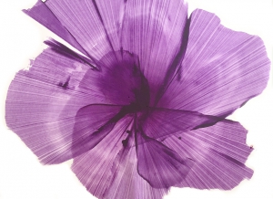 Purpleicious Flower