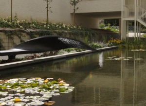 Adagio, pond view